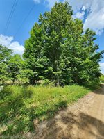 00 Musson Road, Oceola Township, MI 48855