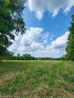 00 Musson Road, Oceola Township, MI 48855