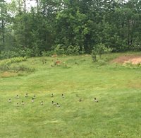 69 Roussin Road, Newport, ME 04953