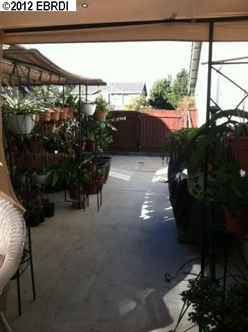 210 Brushwood Pl, Brentwood, CA 94513