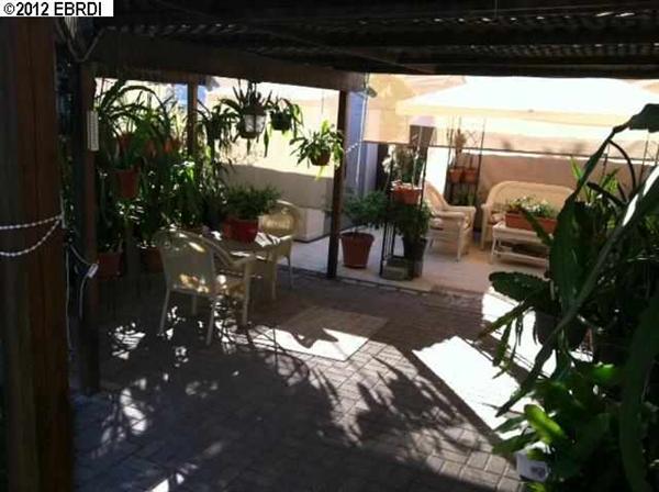 210 Brushwood Pl, Brentwood, CA 94513