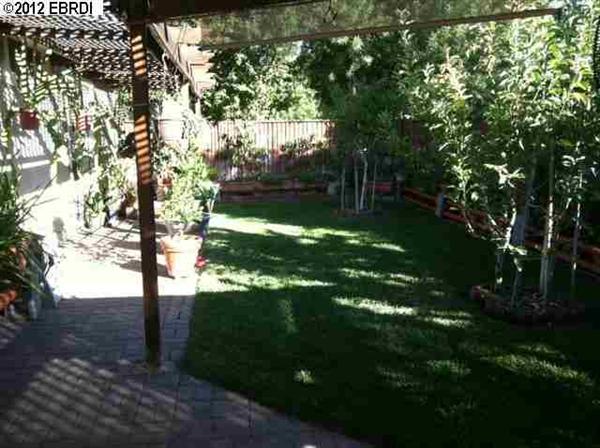 210 Brushwood Pl, Brentwood, CA 94513