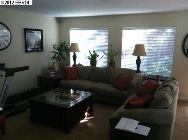 210 Brushwood Pl, Brentwood, CA 94513