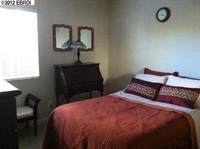 210 Brushwood Pl, Brentwood, CA 94513