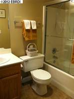 210 Brushwood Pl, Brentwood, CA 94513