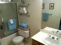 210 Brushwood Pl, Brentwood, CA 94513