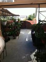 210 Brushwood Pl, Brentwood, CA 94513