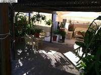 210 Brushwood Pl, Brentwood, CA 94513